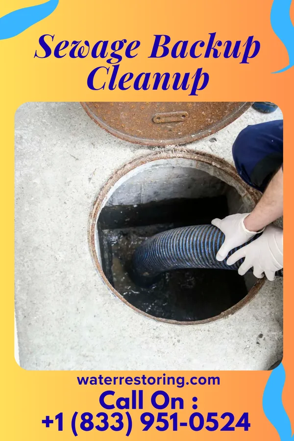 Sewage Backup Cleanup in Hoyt, KS